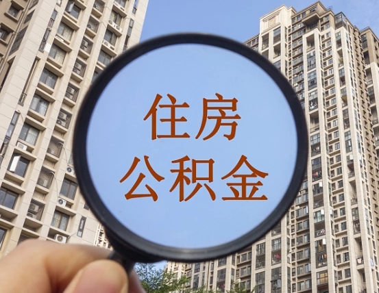 改则退休后查不到公积金明细了吗（退休后公积金查询不到原因）